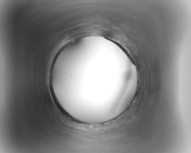 X0000088680003200706211917