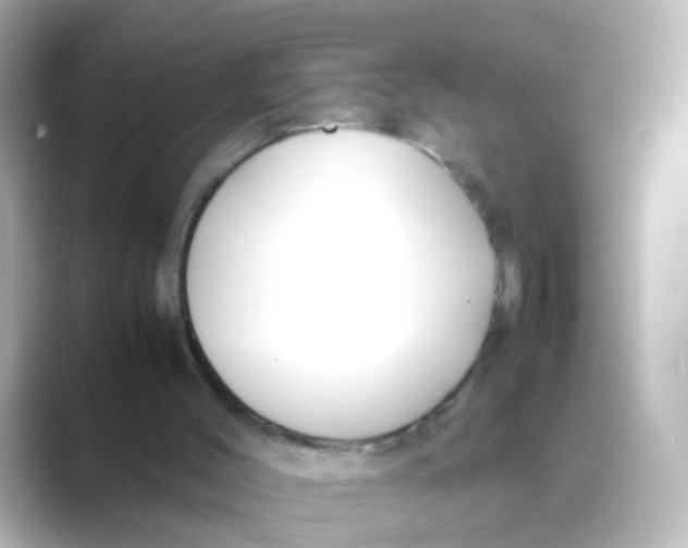 X0000088680004200706211917