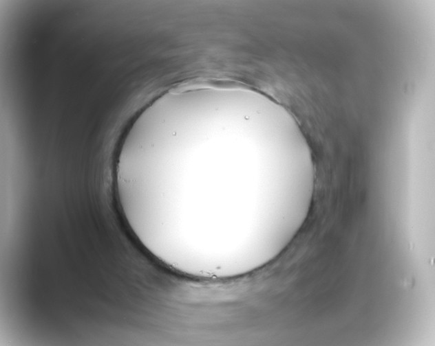 X0000088680005200706211917