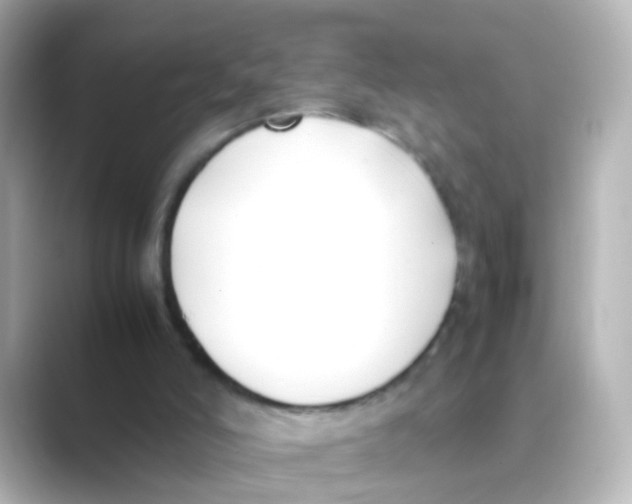 X0000088680006200706211917