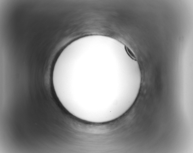 X0000088680008200706211917