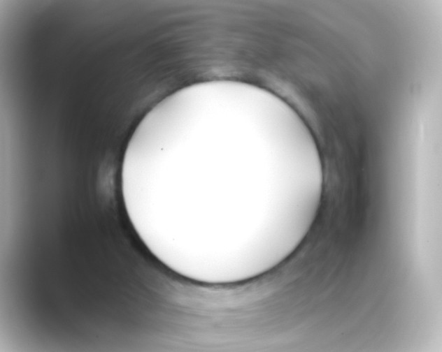 X0000088680010200706211917