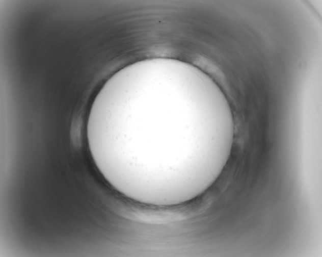 X0000088680012200706211917