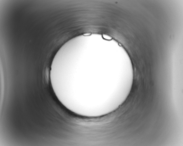 X0000088680013200706211917