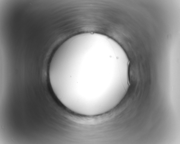 X0000088680015200706211917