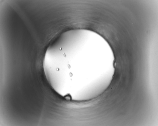 X0000088680017200706211917