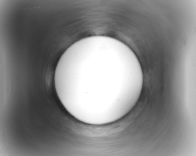 X0000088680018200706211917