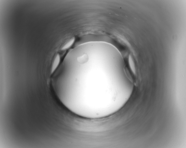 X0000088680019200706211917