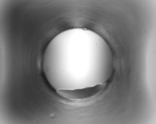 X0000088680023200706211917