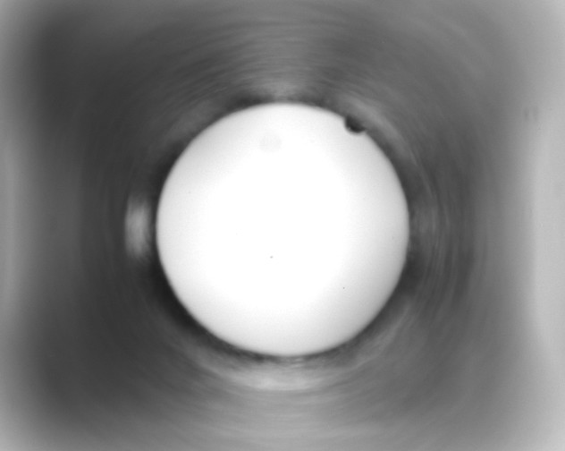 X0000088680024200706211917