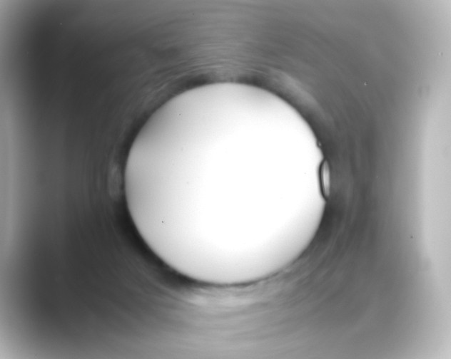 X0000088680025200706211917