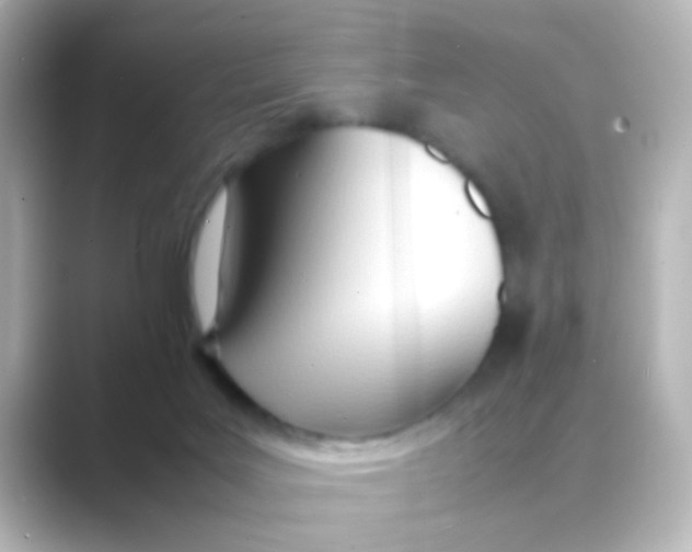 X0000088680027200706211917