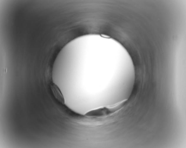 X0000088680029200706211917