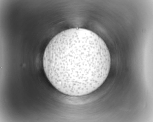 X0000088680030200706211917