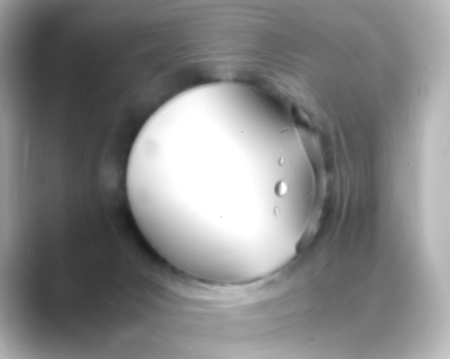 X0000088680031200706211917