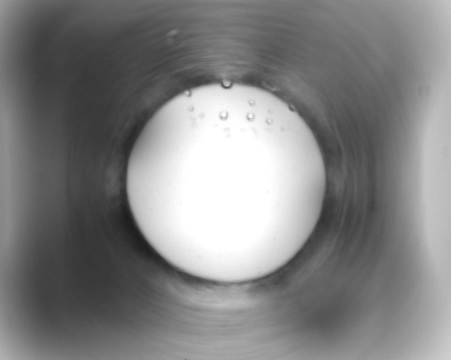 X0000088680032200706211917