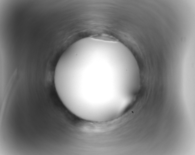 X0000088680033200706211917