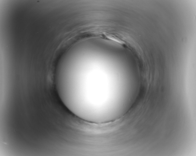 X0000088680035200706211917