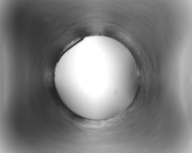 X0000088680037200706211917