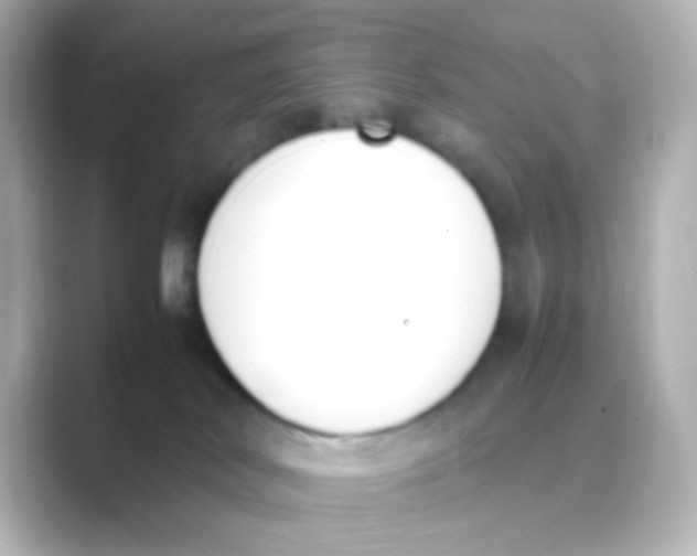 X0000088680038200706211917