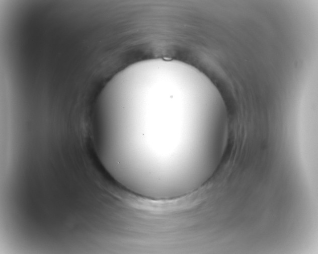 X0000088680039200706211917