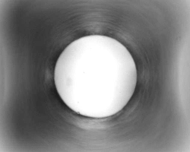 X0000088680040200706211917