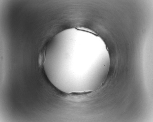 X0000088680041200706211917