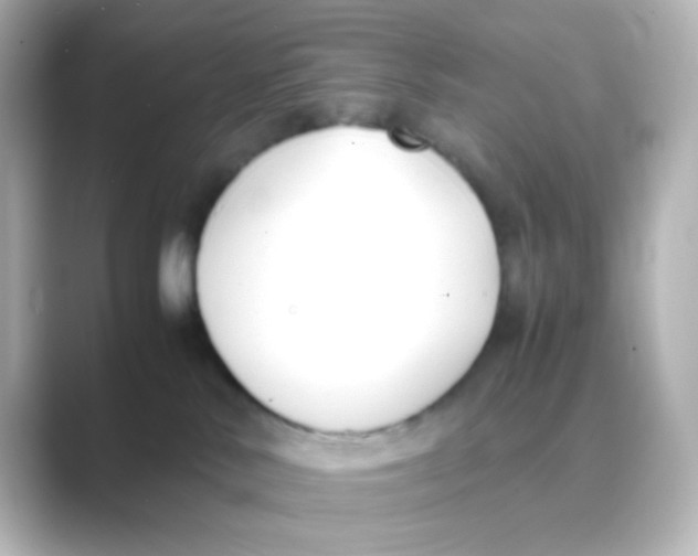 X0000088680042200706211917