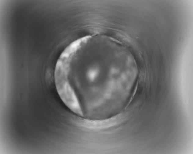 X0000088680043200706211917