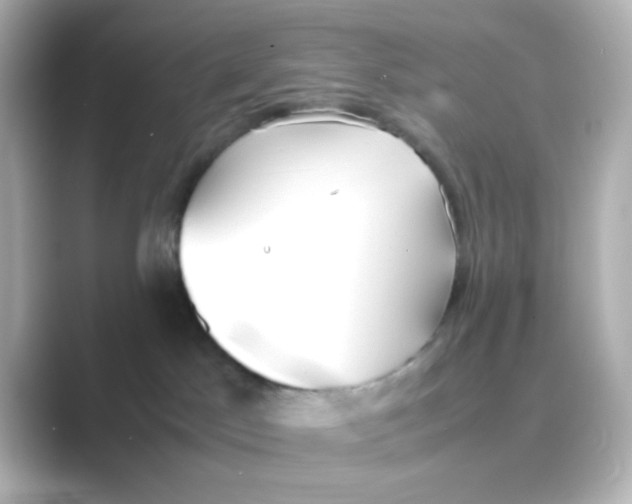 X0000088680045200706211917