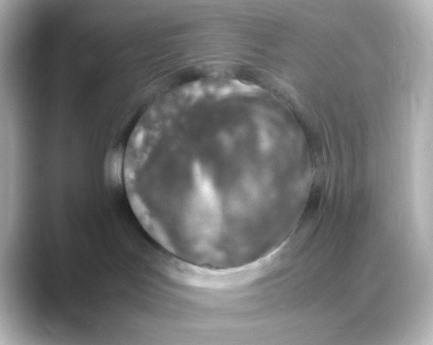 X0000088680047200706211917