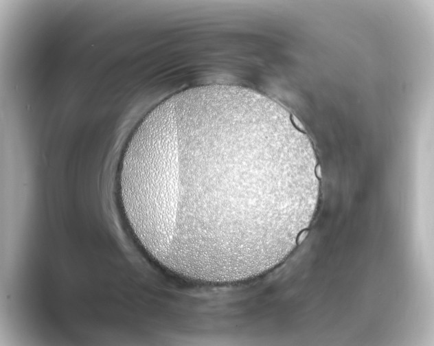 X0000088680049200706211916