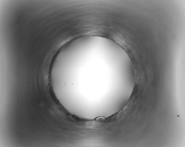 X0000088680050200706211916