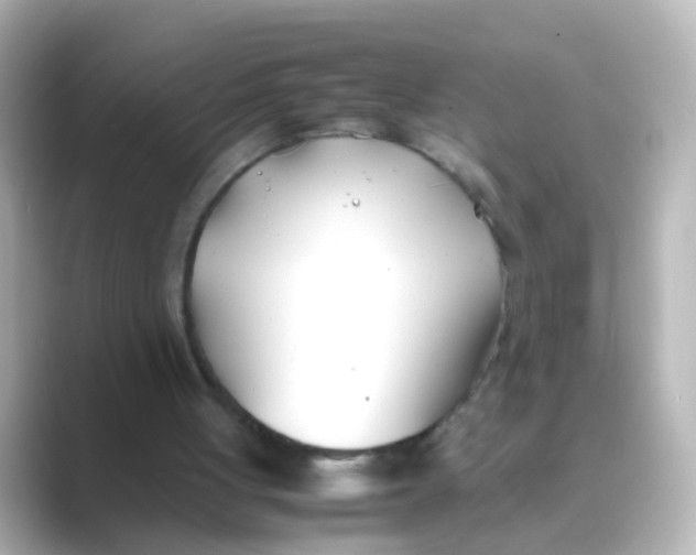 X0000088680051200706211916