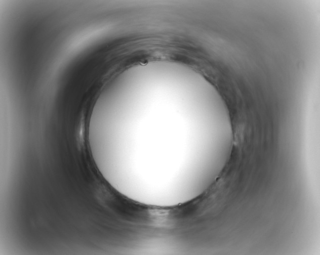 X0000088680052200706211916