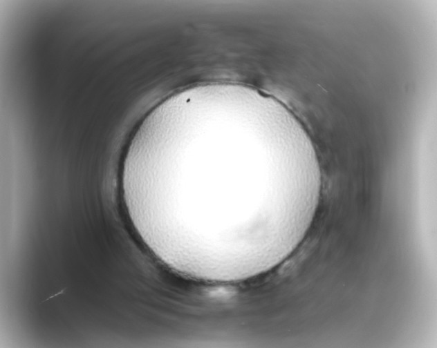 X0000088680053200706211916