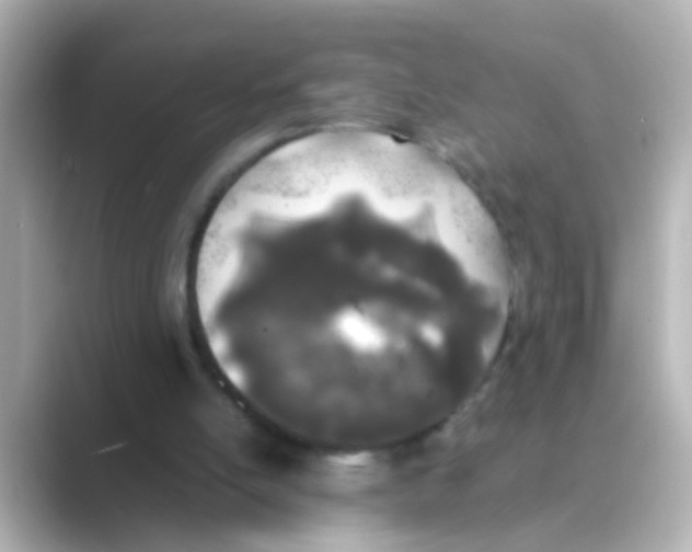 X0000088680054200706211916