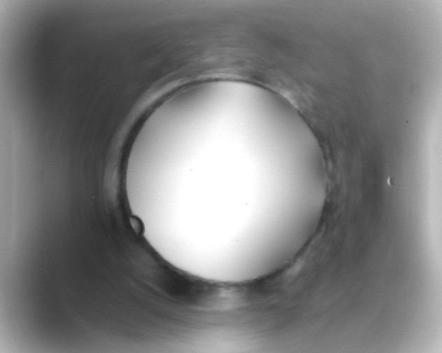 X0000088680056200706211916