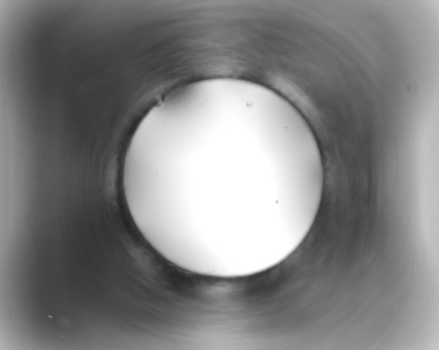 X0000088680058200706211916