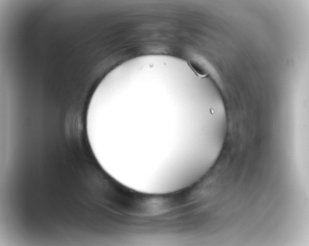 X0000088680059200706211916