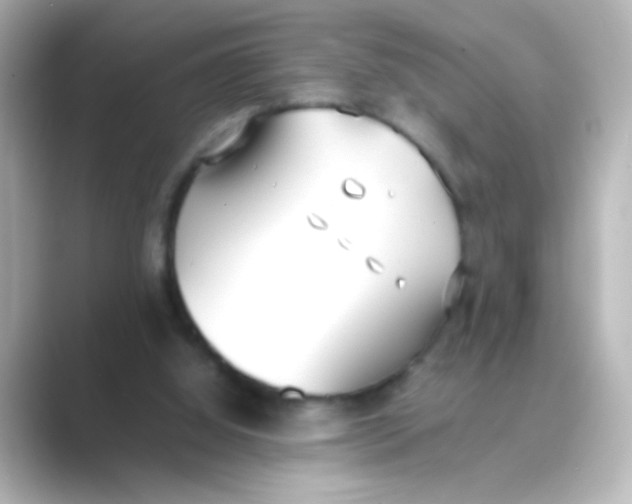 X0000088680060200706211916