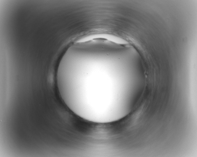 X0000088680064200706211916