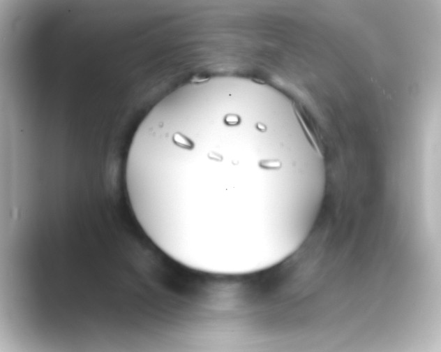 X0000088680066200706211916