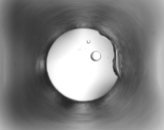 X0000088680067200706211916