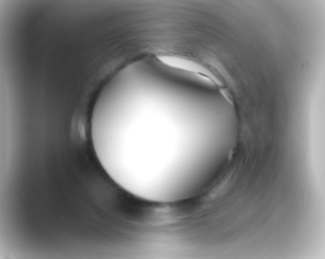 X0000088680068200706211916