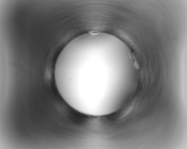 X0000088680072200706211916