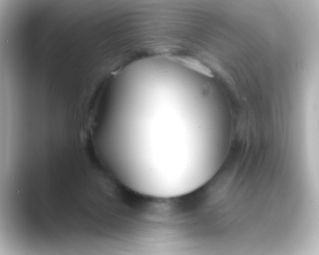 X0000088680076200706211916