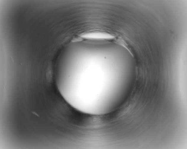 X0000088680080200706211916