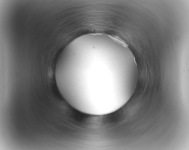 X0000088680084200706211916