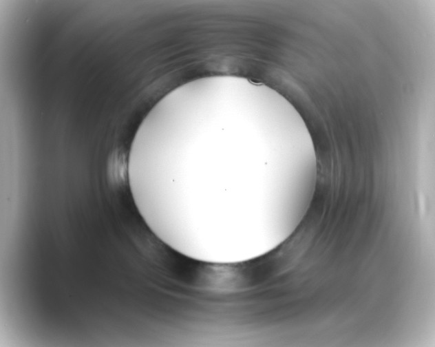 X0000088680095200706211916